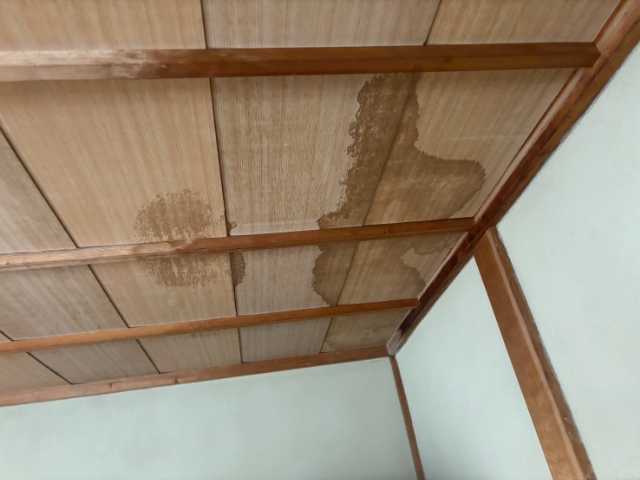 天井に広がる雨染み